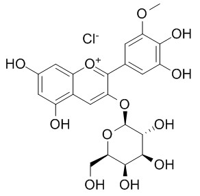 氯化矮牵牛素-3-O-半乳糖苷,分析标准品,HPLC≥98%