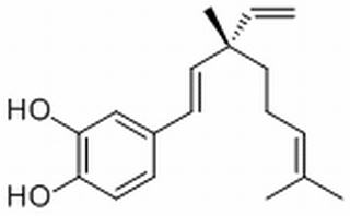 3-Hydroxybakuchiol，分析标准品,HPLC≥98%
