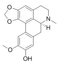 无根藤辛,分析标准品,HPLC≥95%