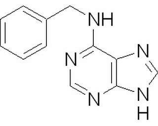 6-苄氨基嘌呤,分析标准品,HPLC≥98%