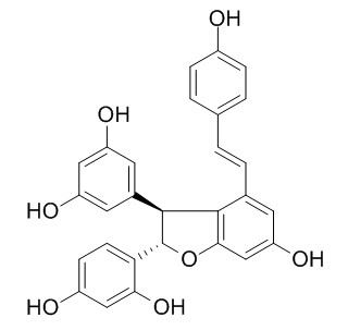 Gnetin D,分析标准品,HPLC≥95%