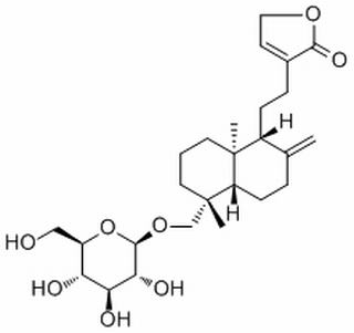 新穿心莲内酯,分析标准品,HPLC≥98%