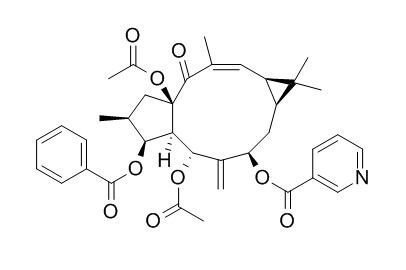 大戟因子L9,分析标准品,HPLC≥95%