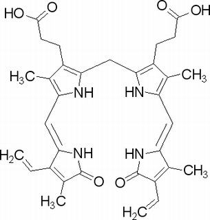 胆红素,分析标准品,HPLC≥98%