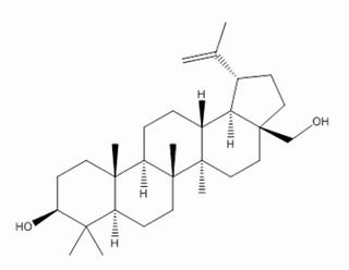白桦脂醇,分析标准品,HPLC≥98%