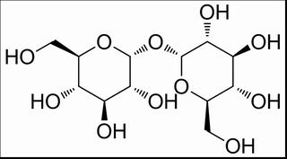 海藻糖，分析标准品,HPLC≥98%