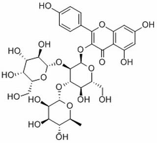 山茶甙A,分析标准品,HPLC≥98%