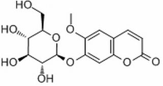 东莨菪苷,分析标准品,HPLC≥98%