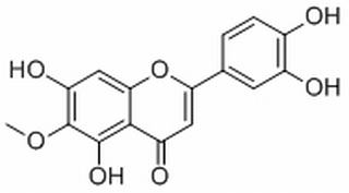 泽兰黄酮,分析标准品,HPLC≥98%