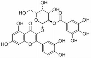 2”-O-没食子酰基金丝桃苷,分析标准品,HPLC≥98%