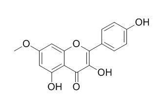 Rhamnocitrin,分析标准品,HPLC≥98%