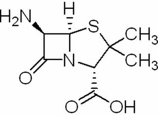 6-氨基青霉素酸,分析标准品,HPLC≥98%