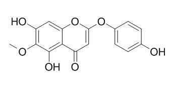 茵陈色原酮,分析标准品,HPLC≥98%