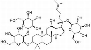 人参皂苷Rd,分析标准品,HPLC≥98%