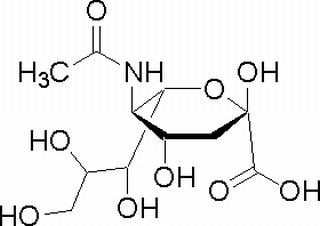 N-乙酰-神经氨酸,分析标准品,HPLC≥98%