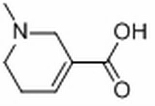 槟榔次碱,分析标准品,HPLC≥98%
