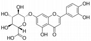 木犀草素-7-O-β-D-葡萄糖醛酸苷,分析标准品,HPLC≥98%