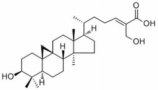 27-Hydroxymangiferolic acid，分析标准品,HPLC≥98%