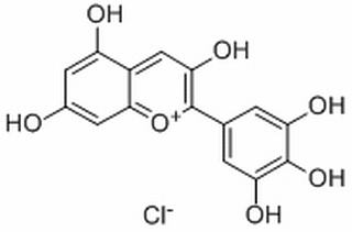飞燕草色素,分析标准品,HPLC≥97%