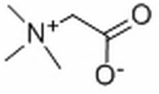 甜菜碱,分析标准品,HPLC≥98%