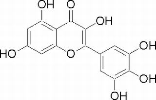 杨梅素,分析标准品,HPLC≥98%