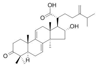 多孔菌酸C,分析标准品,HPLC≥95%