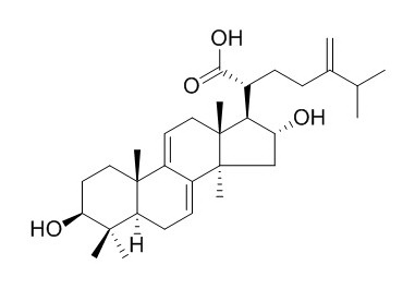 去氢土莫酸,分析标准品,HPLC≥95%