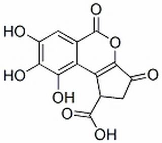 短叶苏木酚酸,分析标准品,HPLC≥98%