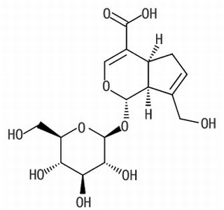 京尼平苷酸,分析标准品,HPLC≥98%