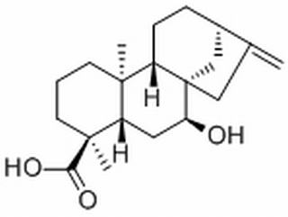 Sventenic acid,分析标准品,HPLC≥98%