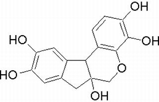 苏木素,分析标准品,HPLC≥98%