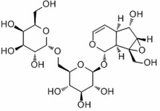 地黄苷A,分析标准品,HPLC≥98%