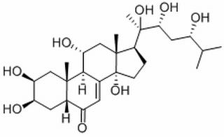漏芦甾酮,分析标准品,HPLC≥98%