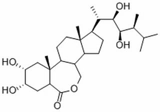 芸苔素内酯,分析标准品,HPLC≥95%