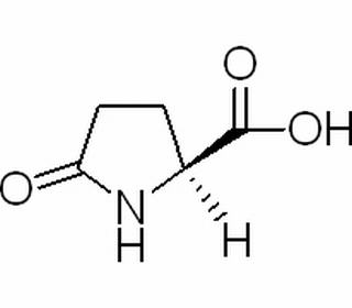 L-焦谷氨酸,分析标准品,HPLC≥98%