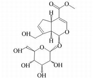 栀子苷,分析标准品,HPLC≥98%