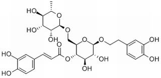 连翘酯苷A,分析标准品,HPLC≥98%