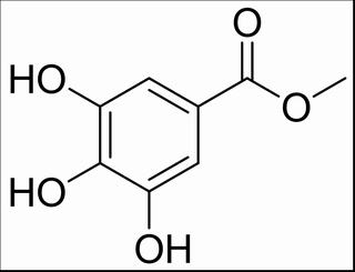 没食子酸甲酯,分析标准品,HPLC≥98%