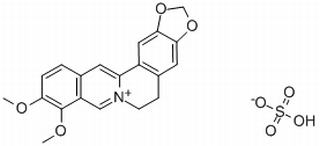 硫酸小檗碱,分析标准品,HPLC≥98%