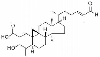 Coronalolic acid,分析标准品,HPLC≥98%