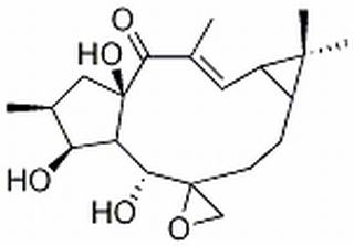 环氧续随子醇，分析标准品,HPLC≥98%