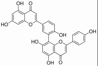 穗花杉双黄酮,分析标准品,HPLC≥98%