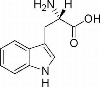 L-色氨酸,分析标准品,HPLC≥98%