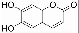 秦皮乙素,分析标准品,HPLC≥98%