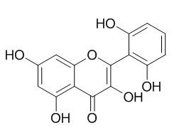 粘毛黄芩素I,分析标准品,HPLC≥95%