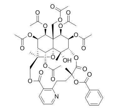 雷公藤宁碱A,分析标准品,HPLC≥95%