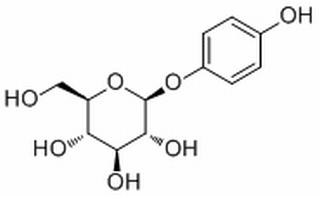 熊果苷(β型),分析标准品,HPLC≥98%