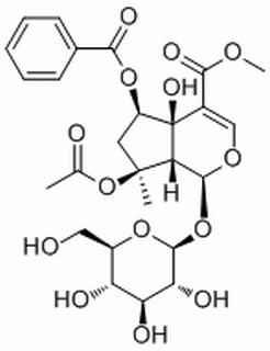 6-O-Benzoylphlorigidoside B,分析标准品,HPLC≥98%
