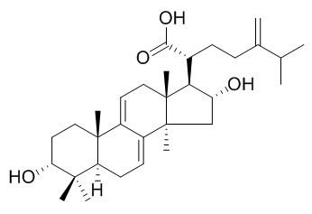 3-表去氢土莫酸,分析标准品,HPLC≥95%