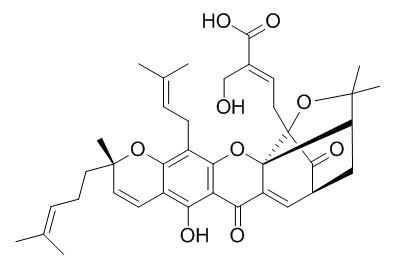 30-羟基藤黄酸,分析标准品,HPLC≥95%